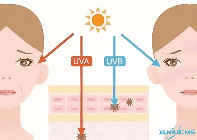 微信圖片_20241022112516 微信圖片_20241022112516