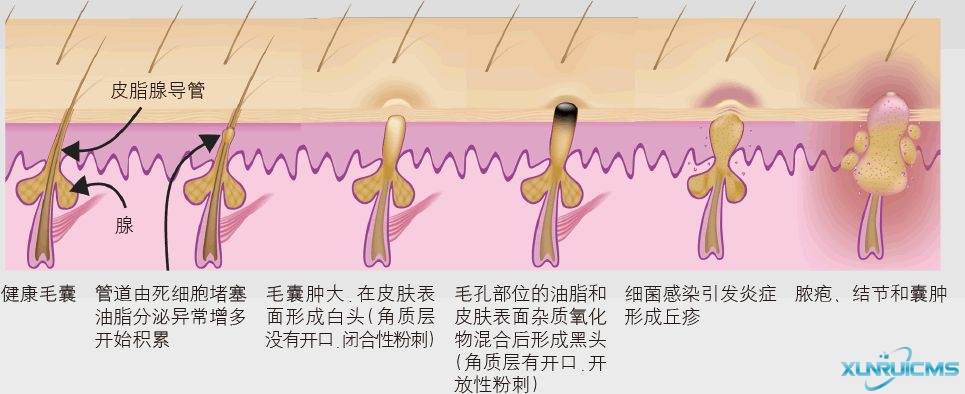 微信圖片_20241030084019 微信圖片_20241030084019